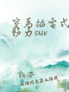 宝马插电式混合动力suv 宝马插电式混合动力suv