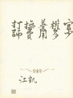 打抚养权官司律师费用多少钱
