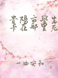 贵阳市学生乘车卡在哪里充值