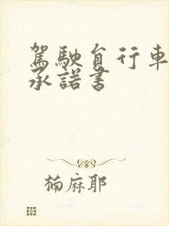 驾驶员行车安全承诺书 驾驶员行车安全承诺书