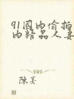 91国内偷拍国内精品人妻99