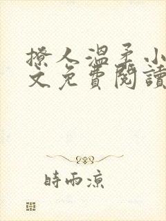 撩人温柔小说全文免费阅读无弹窗