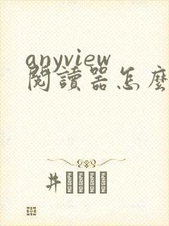 anyview阅读器怎么导入小说