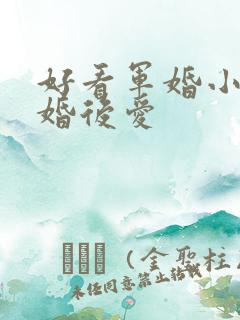 好看军婚小说先婚后爱