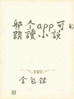 哪个app可以朗读小说