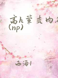 高h荤爽肉欲文(np)