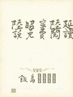 陆昭宁陆延骁小说免费阅读最新章节