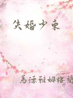失婚少东