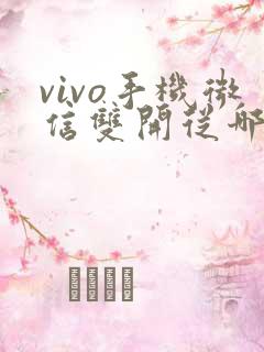 vivo手机微信双开从哪里设置