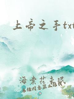 上帝之手txt