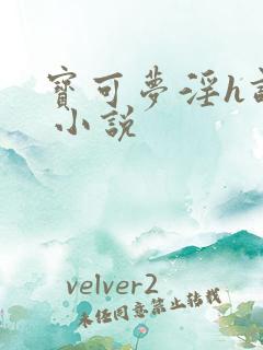 宝可梦淫h调教 小说