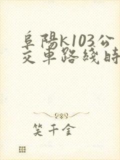 阜阳k103公交车路线时间表