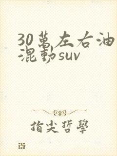 30万左右油电混动suv
