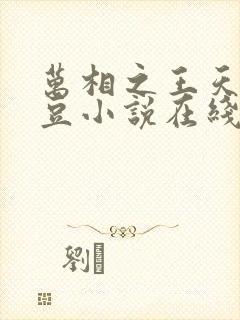 万相之王天蚕土豆小说在线阅读
