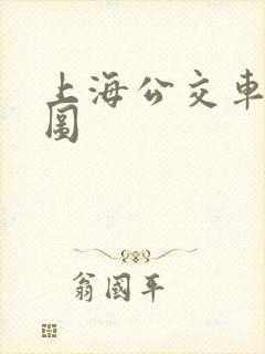 上海公交车路线图