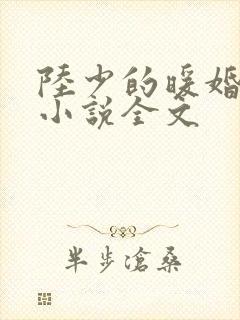 陆少的暖婚新妻小说全文