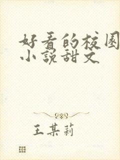 好看的校园言情小说甜文