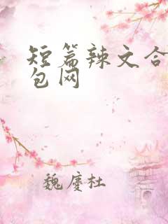 短篇辣文合集书包网