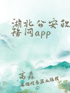 湖北公安政务服务网app