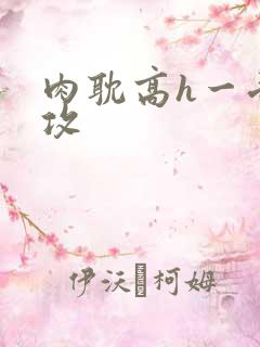 肉耽高h一受n攻