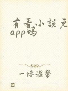 有看小说免费的app吗