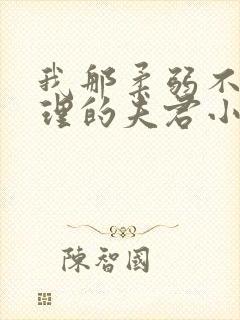 我那柔弱不能自理的夫君小说阅读全文