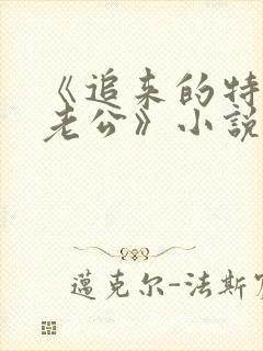 《追来的特种兵老公》小说 《追来的特种兵老公》小说