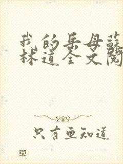 我的岳母苏沛真林道全文阅读