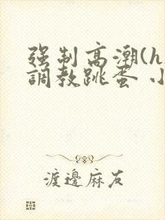 强制高潮(h)调教跳蛋 小说