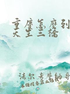 重庆怎么到武隆天生三桥