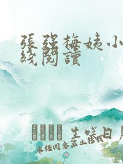 张强梅姨小说在线阅读