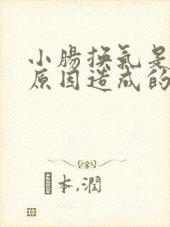 小肠换气是什么原因造成的