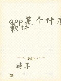 app是个什么软件
