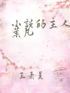 小说的主人公叫叶凡