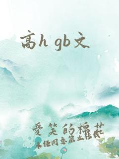 高h gb文