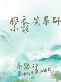 胶衣魔导师拘束小说