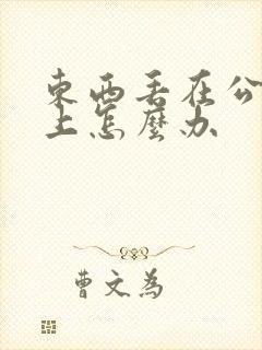 东西丢在公交车上怎么办 东西丢在公交车上怎么办