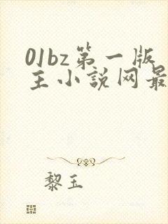 01bz第一版主小说网最新