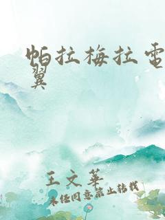 帕拉梅拉电动尾翼 帕拉梅拉电动尾翼