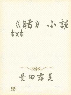 《赌》小说网盘txt