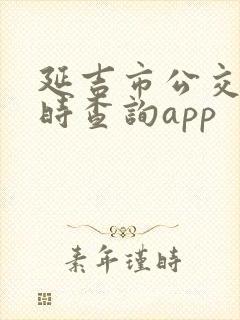 延吉市公交车实时查询app 延吉市公交车实时查询app