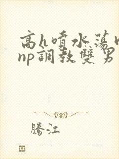高h喷水荡肉爽np调教双男主