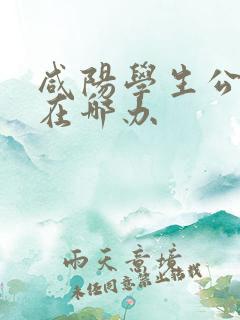 咸阳学生公交卡在哪办