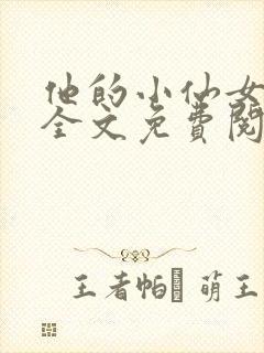 他的小仙女小说全文免费阅读无弹窗