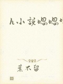 h小说嗯嗯啊啊