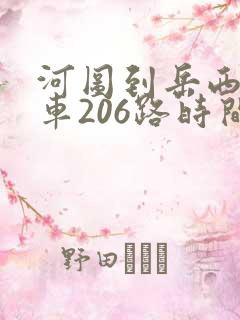 河图到岳西公交车206路时间表