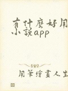有什么好用的看小说app