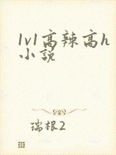 1v1高辣高h小说