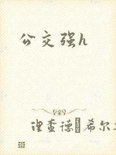 公交强h