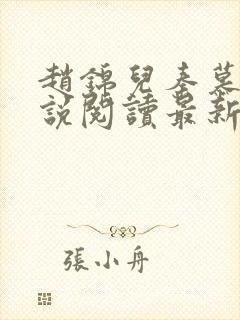 赵锦儿秦慕修小说阅读最新